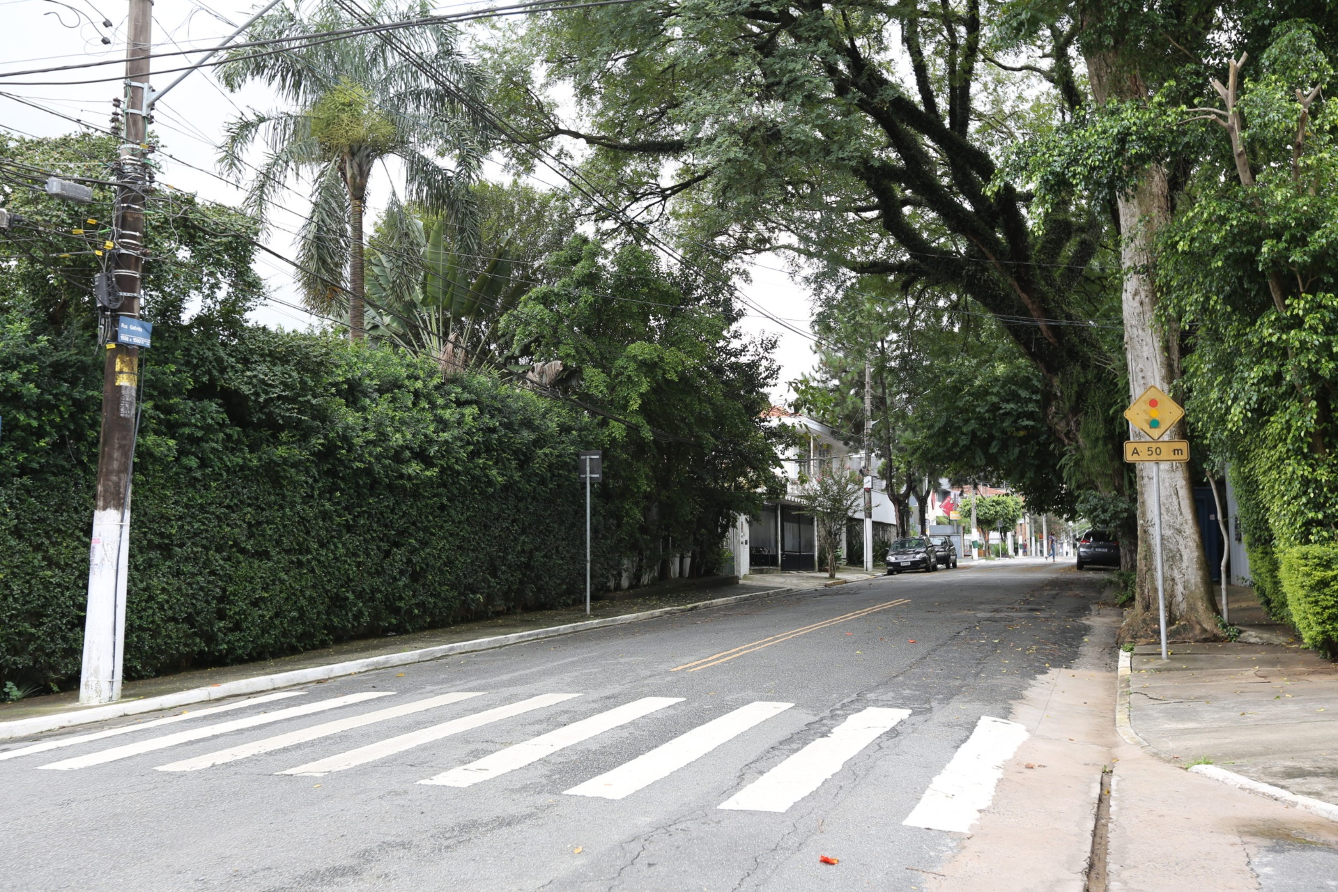 Faixa de pedestres na Rua Galeno, com cerca-viva e uma árvore de grande porte