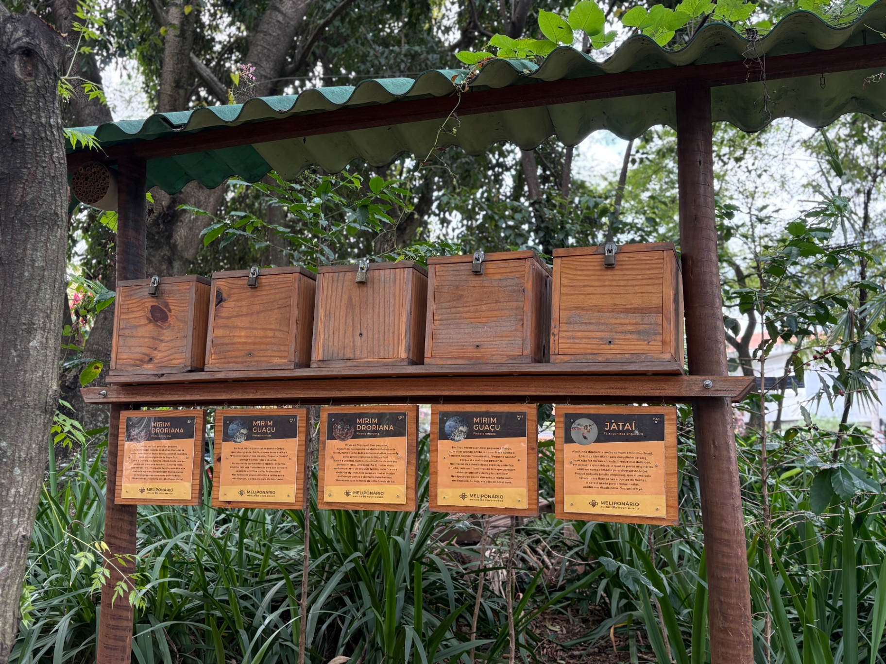 Meliponário da ANMA na Pracinha da Inhambu, com colmeias de abelhas nativas sem ferrão