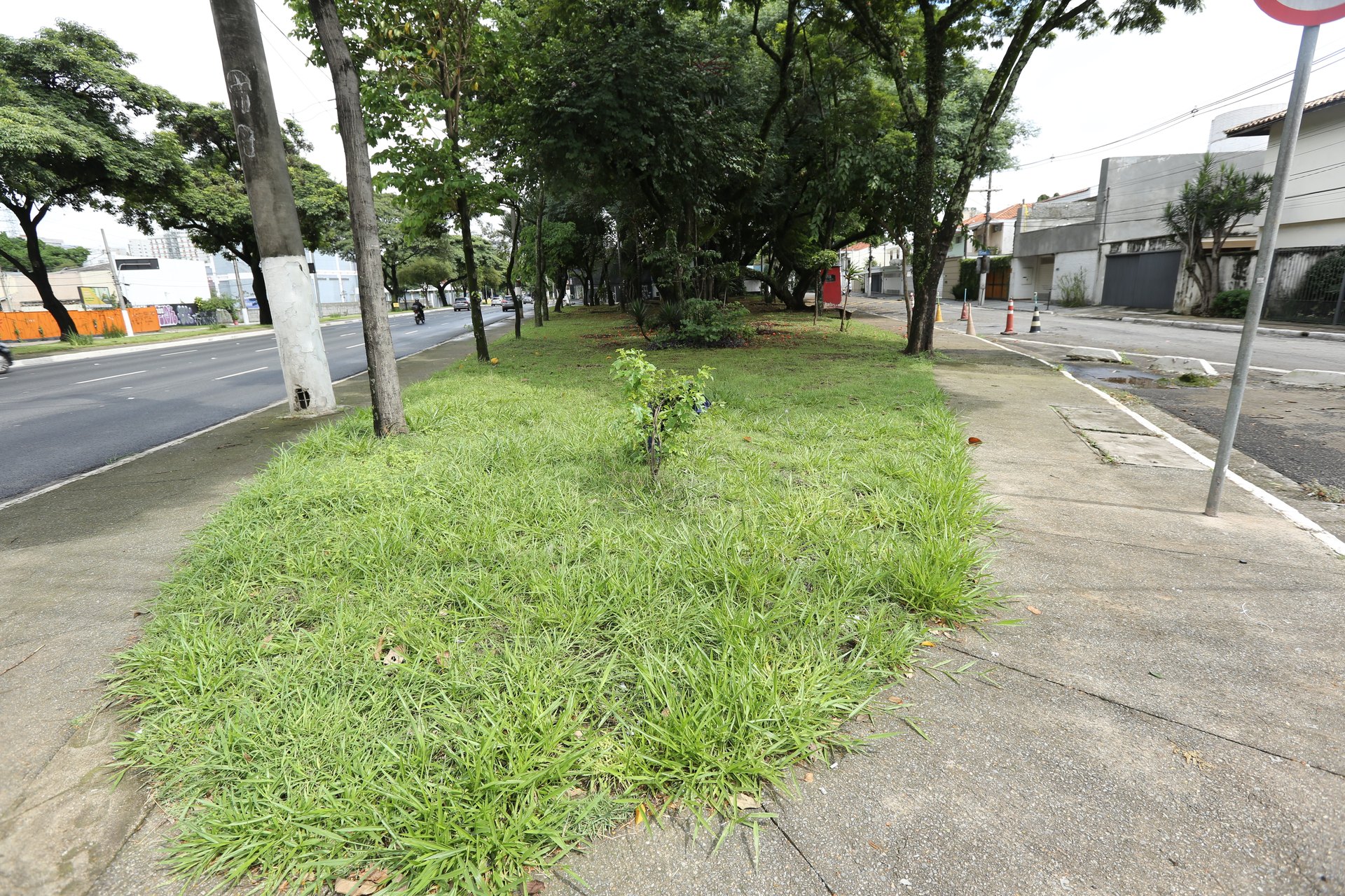 Vista da Praça Professora Astrogilda de Abreu Sevilha, com arborização e bancos