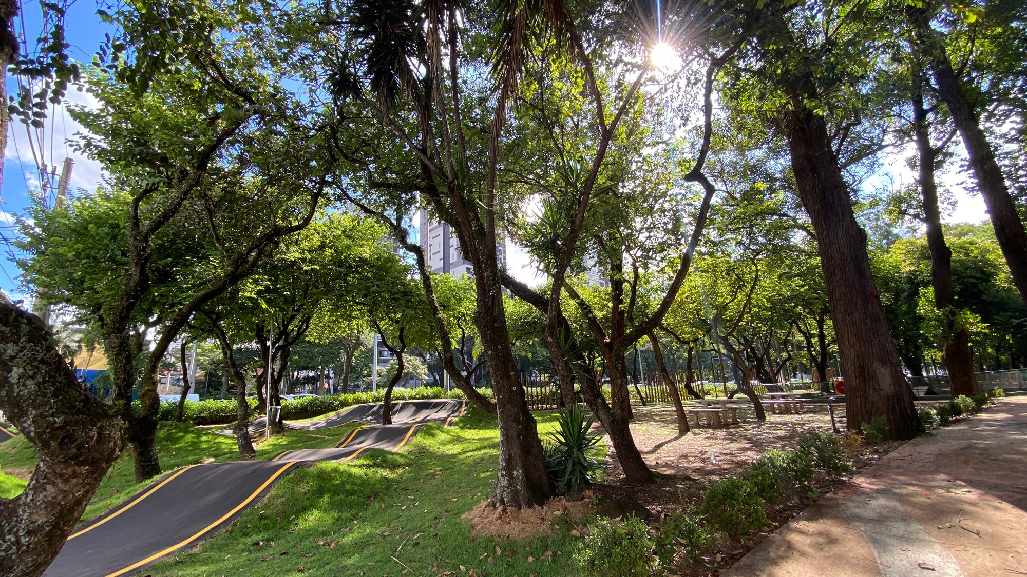 Árvores e caminhos de uma praça do Jardim Novo Mundo