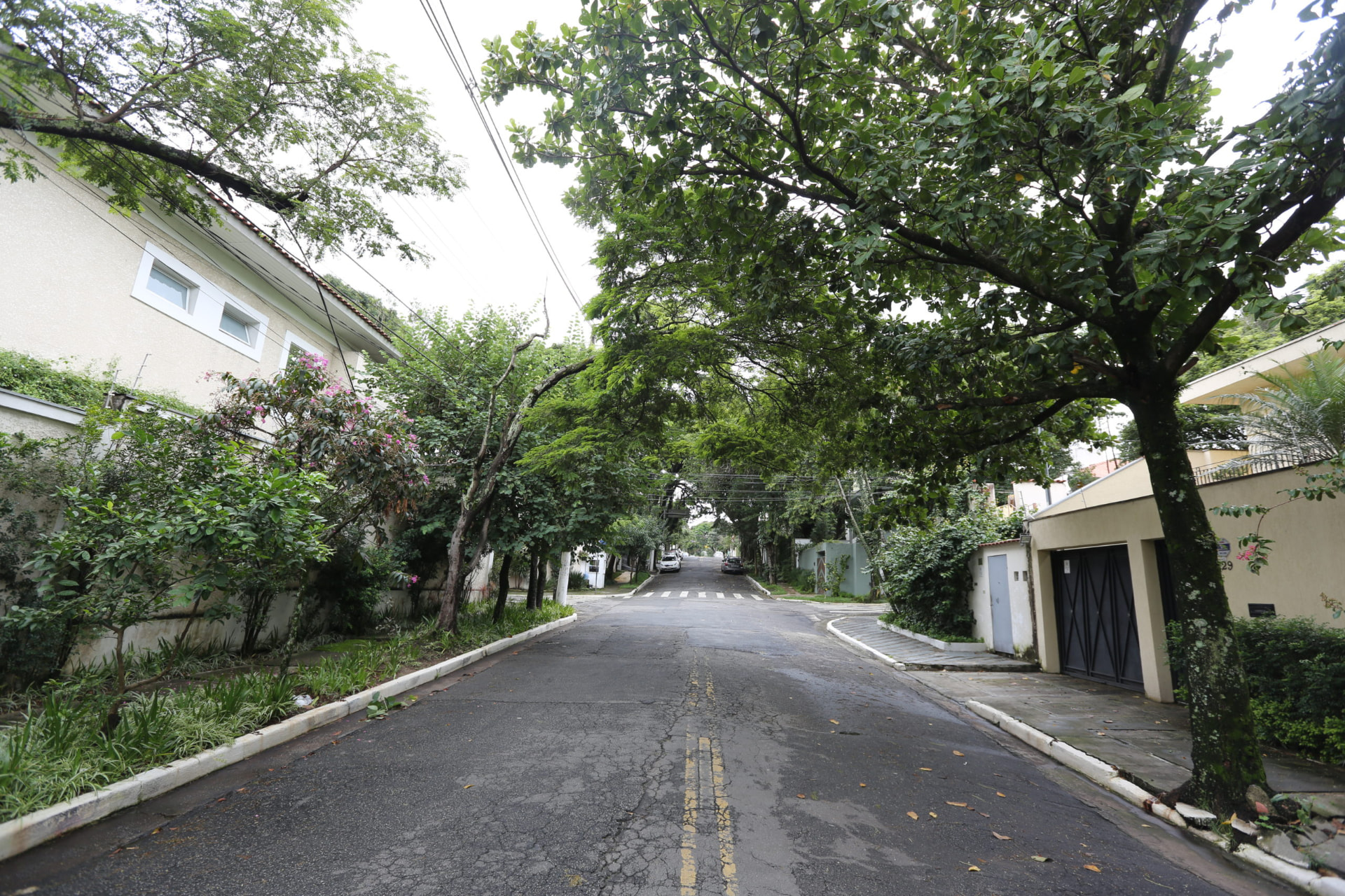 Rua residencial arborizada do Jardim Novo Mundo, com copas de árvores se fechando sobre o asfalto úmido em dia nublado