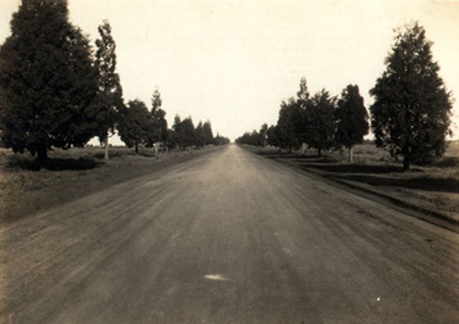 Avenida Indianópolis